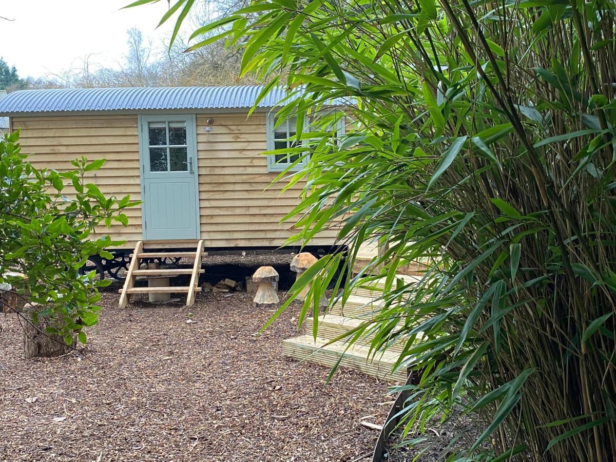 Chez Maurice Luxury Shepherds Hut With Bath And Hot Tub Kelling المظهر الخارجي الصورة